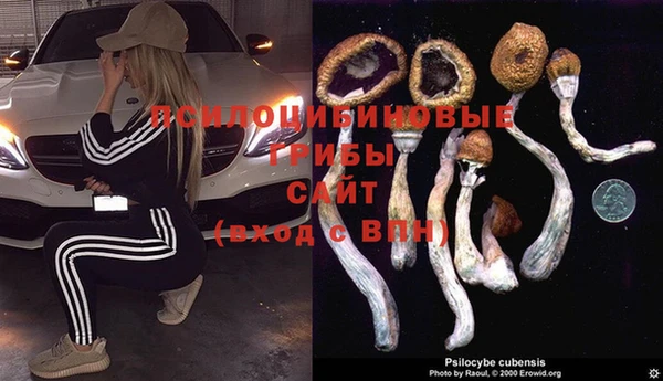ECSTASY Снежногорск