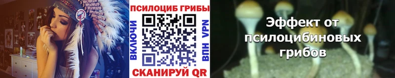 купить наркотики цена Агидель Псилоцибиновые грибы прущие грибы